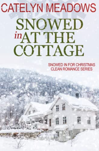 Snowed In at the Cottage cover