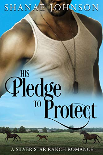His Pledge to Protect book cover