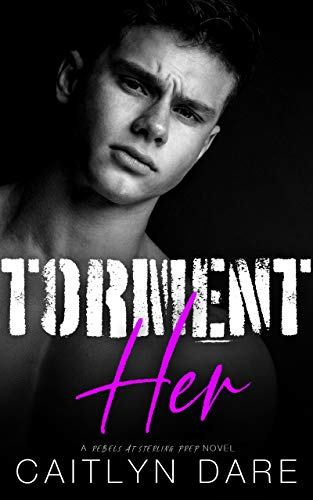 Torment Her book cover