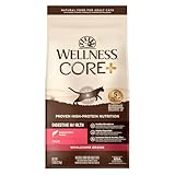 Wellness CORE+ Digestive Health Adult Dry Cat Food, Natural, Wholesome Grains Kibble, Salmon and Rice Recipe, 5 lb Bag
