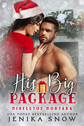 His Big Package (By: Jenika Snow) cover