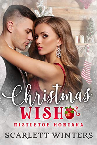 Christmas Wish (By: Scarlett Winters) cover