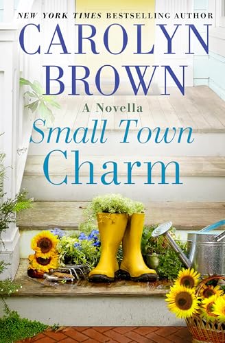 Small Town Charm book cover