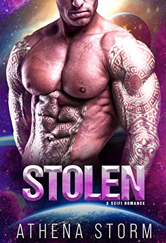 Stolen book cover