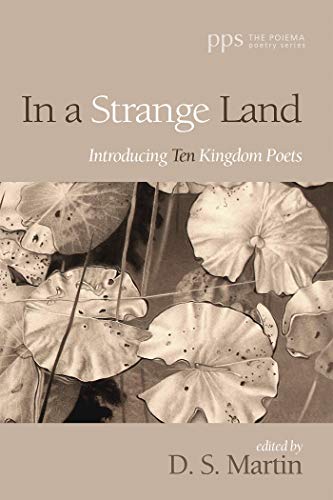 In a Strange Land (By: D.S. Martin) cover