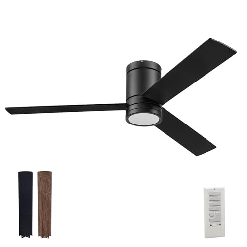 Prominence Home Epsy Ceiling Fan Classic Design With light and polished black blades, this ceiling