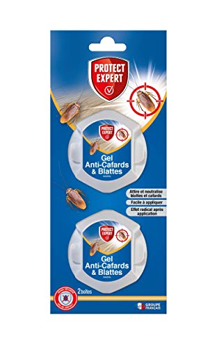 PROTECT EXPERT CAFBOIT2 Boites D’appât Spécial Cafards Et Blattes 2 X 5g Protection Jusqu’à 3mois Sécurité Aucun Contact avec Le Gel Lors De L’Application