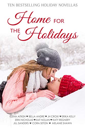 Home for the Holidays book cover