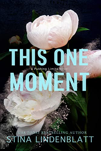 This One Moment book cover