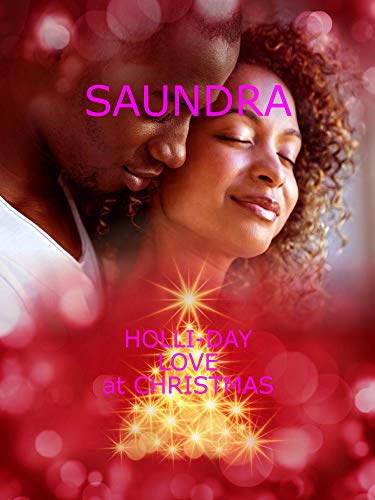 Holli-day Love At Christmas book cover