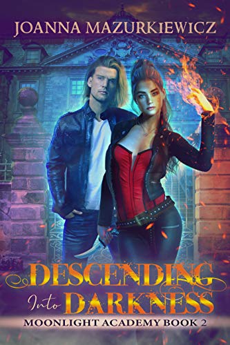 Descending into Darkness book cover