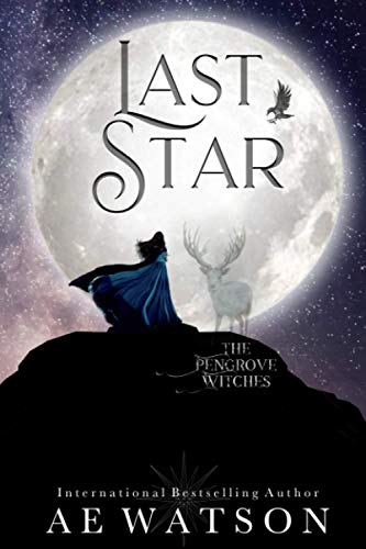 The Last Star book cover