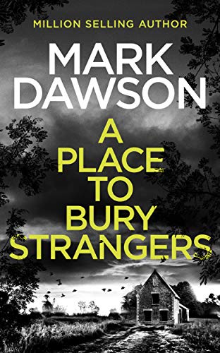 A Place To Bury Strangers book cover