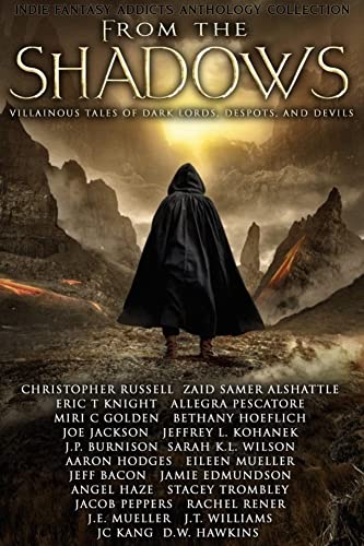 From the Shadows book cover