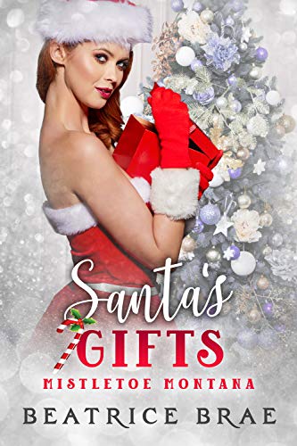 Santa's Gifts book cover