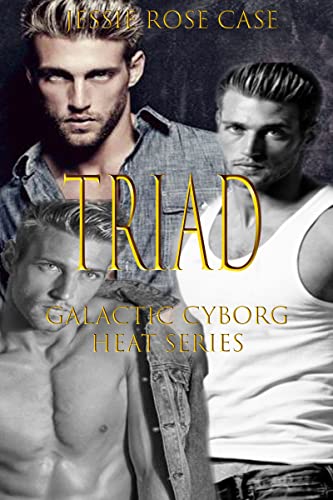 Triad book cover