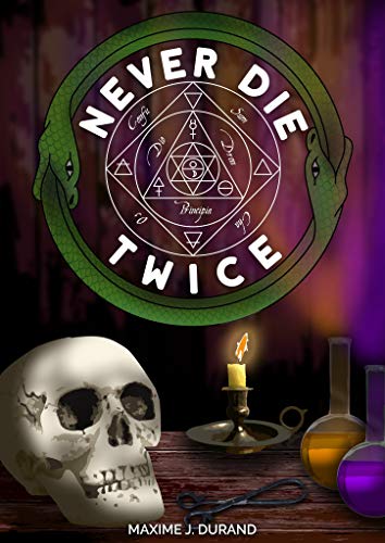 Never Die Twice book cover