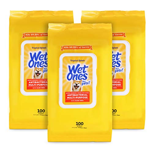 Wet Ones for Pets Multipurpose Dog Wipes with Aloe Vera, Tropical Splash Scent - Pet Bathing Wipes with Wet Lock Seal for Dog Paws and All-Over Use, 100 Count - 3 Pack