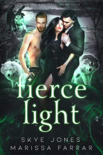 Fierce Light book cover