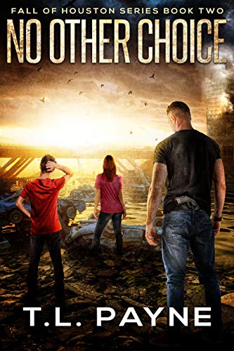 No Other Choice book cover