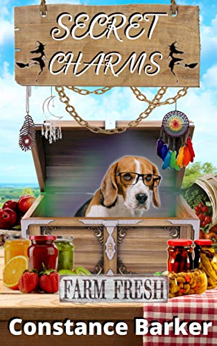 Secret Charms book cover