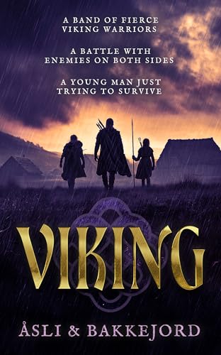 Viking book cover
