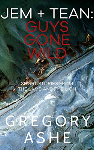 Jem and Tean: Guys Gone Wild book cover