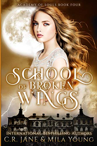 School of Broken Wings book cover
