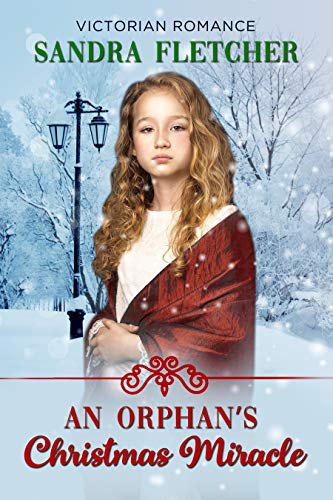 An Orphan's Christmas Miracle book cover