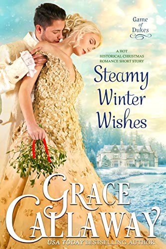Steamy Winter Wishes book cover