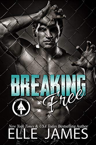 Breaking Free book cover