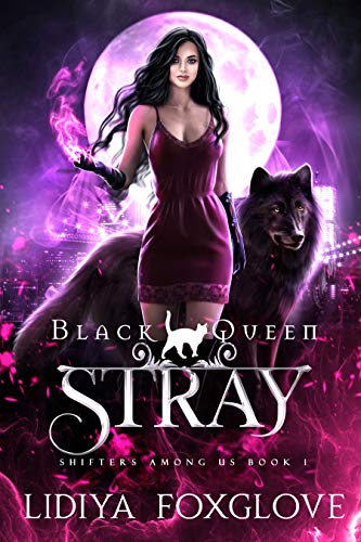 Black Queen: Stray book cover