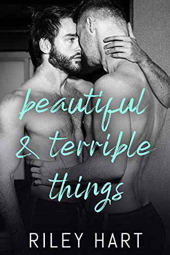 Beautiful and Terrible Things book cover