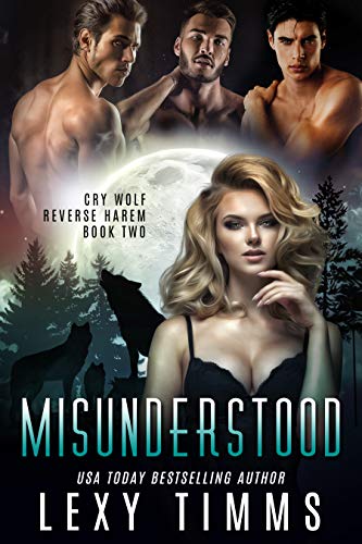 Misunderstood book cover