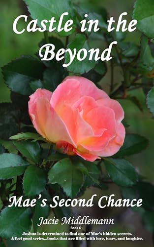 Castle in the Beyond book cover