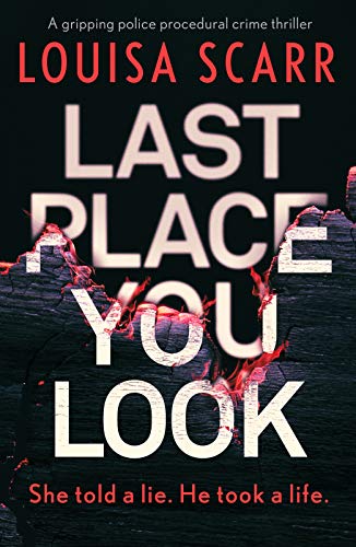 Last Place You Look book cover