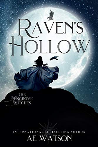 The Raven's Hollow book cover