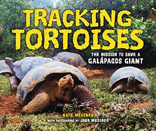 Tracking Tortoises book cover