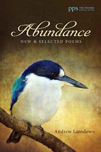 Abundance book cover
