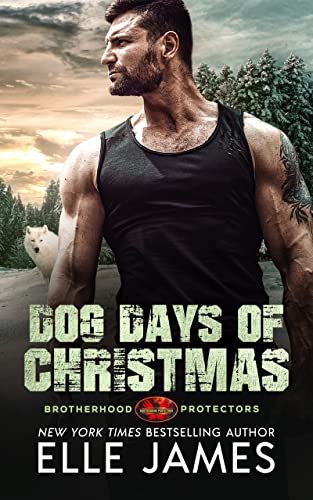 Dog Days of Christmas book cover