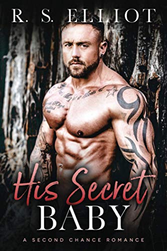 His Secret Baby book cover