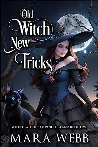 Old Witch New Tricks book cover