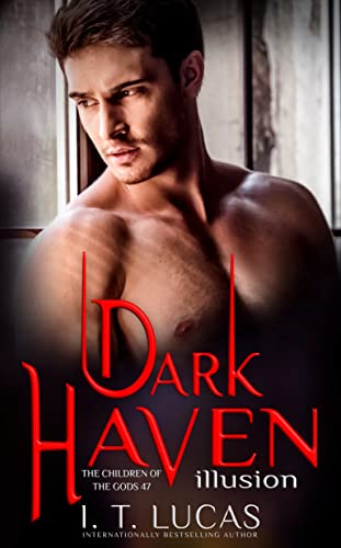 Dark Haven Illusion book cover