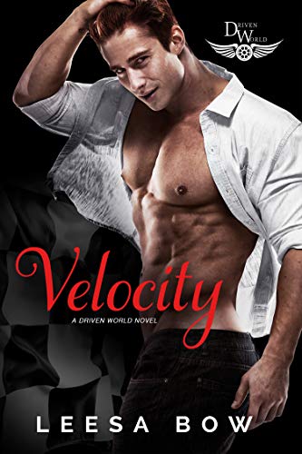 Velocity book cover
