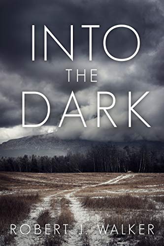 Into The Dark book cover
