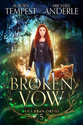 A Broken Vow book cover