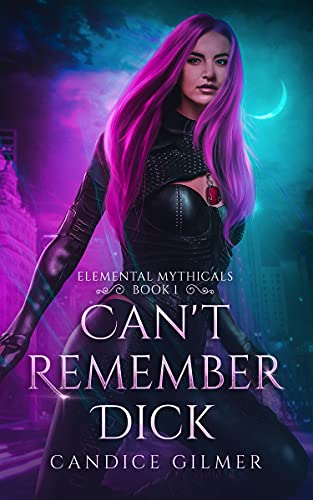 Can't Remember Dick book cover