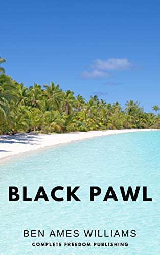 Black Pawl book cover