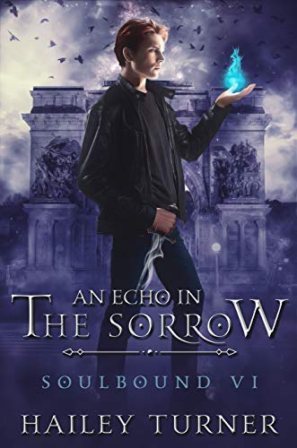 An Echo in the Sorrow cover