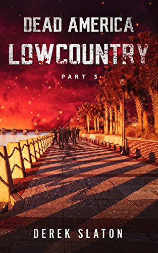 Lowcountry Pt. 3 cover